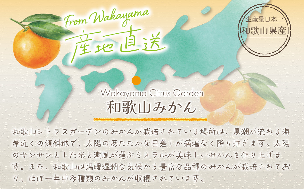 和歌山県産 極早生みかん 家庭用 Mサイズ 5kg ［Sn14］