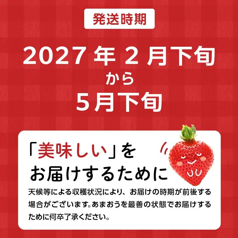 【数量限定】【2027年2月から順次発送】ファミリー向け あまおう約250g×2パック【訳あり】_あまおう いちご 果物 フルーツ ストロベリー〔Fi068〕