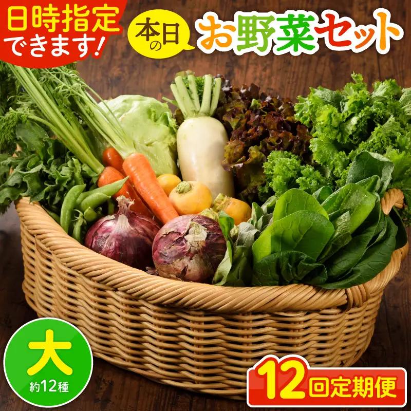 【12回定期便】日時指定OK！本日のお野菜セット （大サイズ/約15～17種） 4人以上用 / 野菜 朝どれ 有機栽培 産地直送 新鮮 旬 詰め合わせ サラダ 果物 きのこ類 やさい 送料無料 定期便 12カ月 【オーガニックのまち 宮崎県綾町】＿A0053-012
