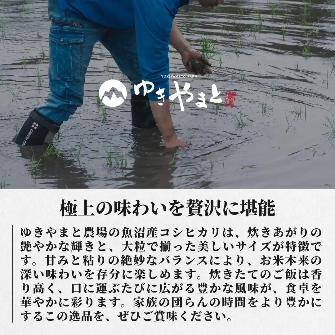 令和8年産先行予約 魚沼産コシヒカリ  特別栽培 ゆきやまと 20kg（5キロ×4袋） | 津南町 魚沼