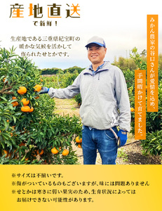 【先行予約】ご家庭用　たにぐち農園のせとか　大小混合 4.5kg 【mtn012C】