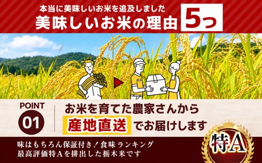 【定期2回】 数量限定 訳あり 定期便 令和8年度 栃木県産コシヒカリ 約 20kg | 数量限定 こしひかり  玄米 米 ごはん ご飯 米 kome okome コシヒカリ 栃木県産 訳あり 送料無