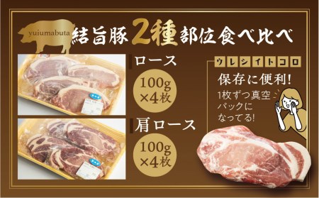 白川郷 結旨豚 ロースかつ 豚肉 計800g 豚肉