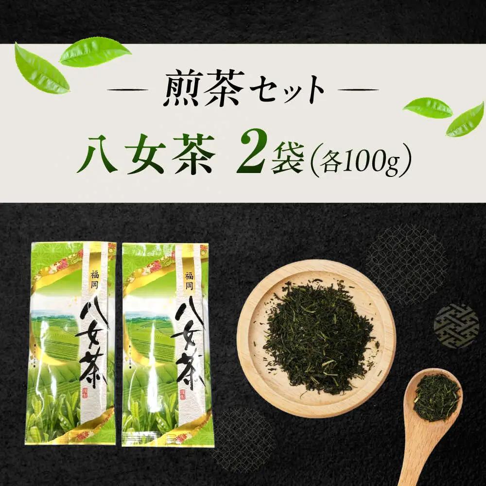 八女茶 煎茶セット 100g×2袋 [VEH016]