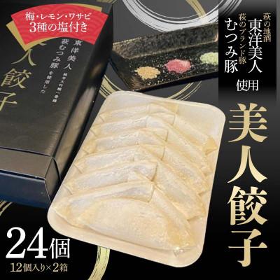 ふるさと納税 山陽小野田市 萩の地酒　「東洋美人」と萩のブランド豚　「むつみ豚」を使用した　美人餃子　2箱