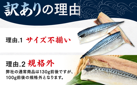 【定期便 毎月3回】 塩サバフィレ 計:9kg ※1回あたり3kg 冷凍 鯖 塩 さば 魚 塩さば さかな 海産物 おかず 鯖ご飯 魚介 海鮮 惣菜 塩サバ 塩鯖 焼き鯖 サバ 焼きさば 焼さば 南知