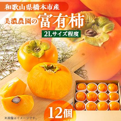 ふるさと納税 橋本市 和歌山県産　美濃農園の富有柿　12個(2Lサイズ程度)