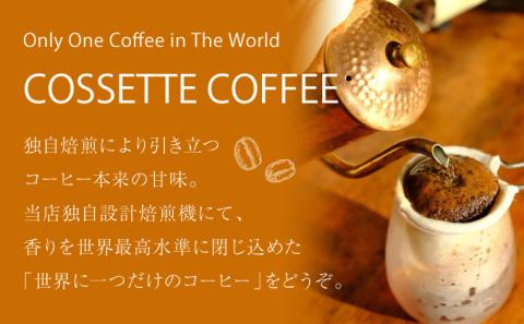 自家焙煎 コーヒー豆 ブラジル トミオフクダDOT 100g×3個セット 300g　[cc-0008]