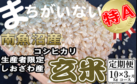 【令和7年産】【定期便】玄米 生産者限定 南魚沼しおざわ産コシヒカリ10Kg×3ヶ月【2025年10月上旬より順次発送予定】