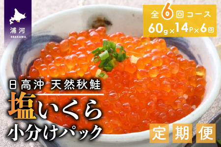 【時鮭スモークサーモン付】北海道日高産 塩いくら小分けパック(60g×14)【全6回定期便】[15-851]