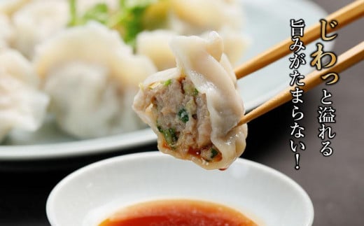 【ミシュランガイド掲載】 点心専門店の手づくり水餃子30個 / 750g （タレ・作り方付き） 水餃子 餃子 ギョーザ 餃子 ギョーザ 点心 中華 餃子 ギョーザ 餃子 ギョーザ 点心 中華 点心 中
