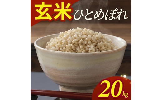 令和7年産【玄米】ひとめぼれ　20kg(5kg×4袋) YA SF0356