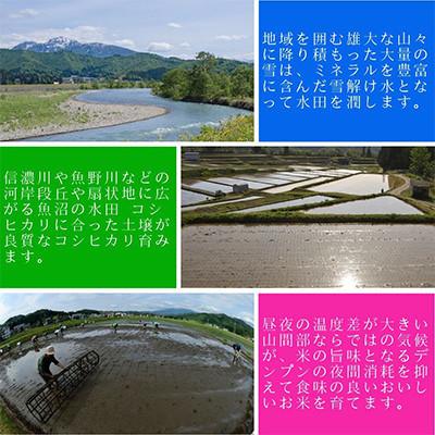 ふるさと納税 魚沼市 【毎月定期便】お米アドバイザー厳選!魚沼産コシヒカリ特別栽培米 精米計5kg全3回 |  | 03