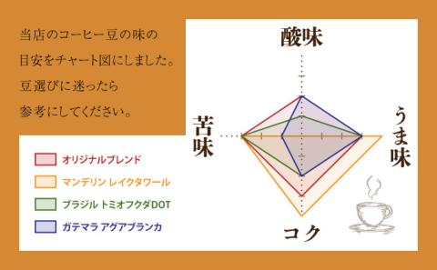 自家焙煎 コーヒー豆 ブラジル トミオフクダDOT 100g×3個セット 300g　[cc-0008]