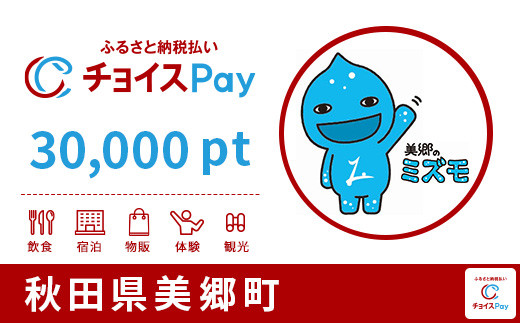 
美郷町チョイスPay 30,000pt（1pt＝1円）【会員限定のお礼の品】
