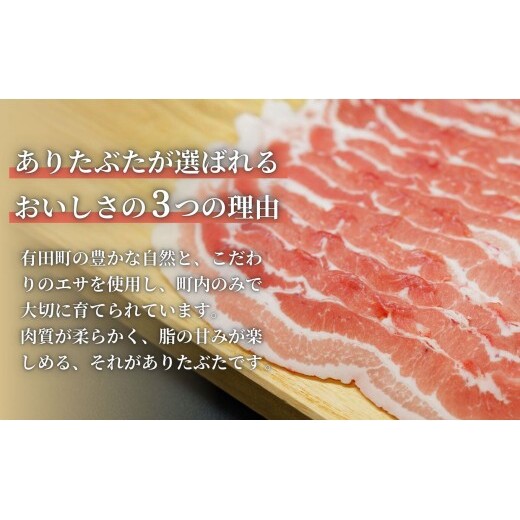 【12回定期便 総計12kg！真空個包装で便利】ありたぶた ロース 厚切り とんかつ用 12ヶ月 連続 1kg（100g×10パック）【有田まちづくり公社】佐賀県産 有田町産 ブランド豚 ありたぶた 