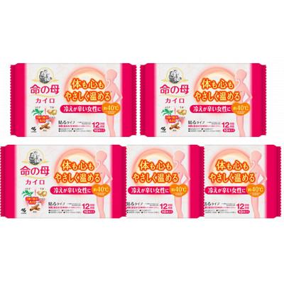 ふるさと納税 藤岡市 【桐灰小林製薬】命の母カイロ(貼るタイプ)10個入×5個