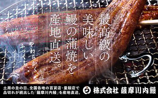 BS-339 鹿児島県産うなぎ蒲焼 約170g×3尾 