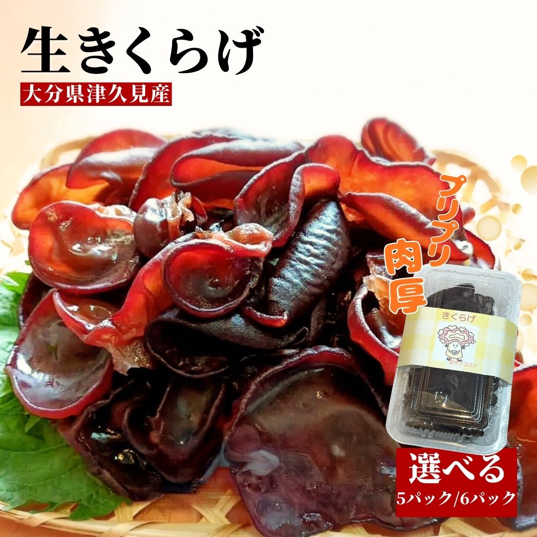 【ふるさと納税】津久見産の肉厚生きくらげ　選べる5パック／6パック（80g/パック）|　木耳 キクラゲ 国産 くらげ 生キクラゲ 生木耳 日本産キクラゲ 大容量 きくらげ国産 きのこ 国産
