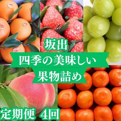 ふるさと納税 坂出市 【発送月固定定期便】四季の美味しい果物詰め　年間4回に分けてお届け!全4回