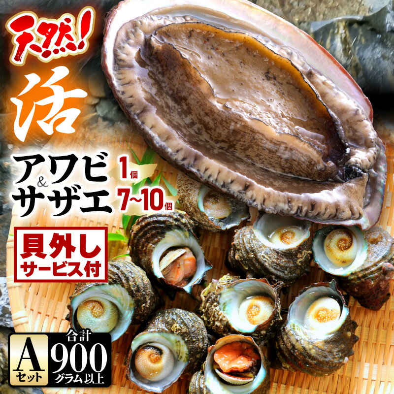 【ふるさと納税】【先行予約】【期間限定】天然！活アワビ ＆ 活サザエ セットA(貝はずしサービス付き)【2025年6月中旬以降順次発送予定】【入手困難 産地直送 刺身 お造り おせち バター焼き BBQ あわび 鮑 サザエ さざえ 貝 海鮮 肴 つまみ 冷凍 福井】 [m21-b007_02]