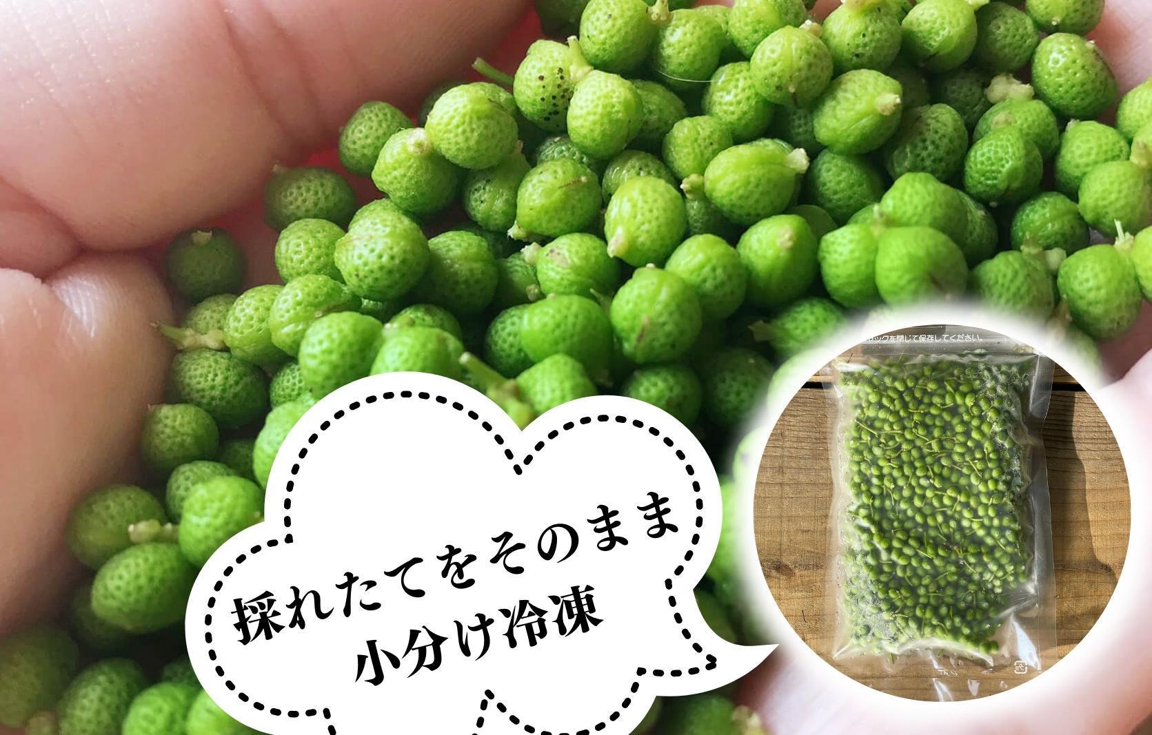 【６月下旬出荷予定】冷凍山椒 凍ってんじゃ ぶどう山椒 100g 和歌山県産 【みかんの会】