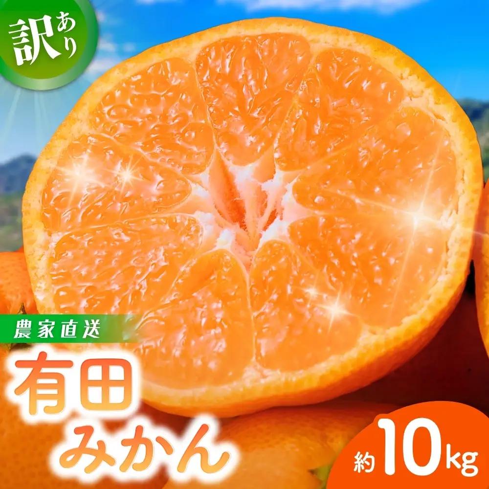 みかん 訳あり有田みかん 約10kg【nuk138H】