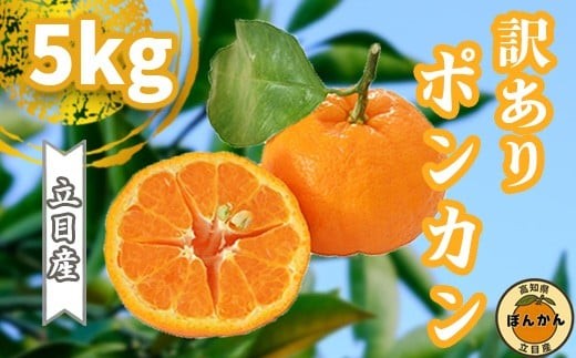 【早期予約開始】 1月中旬より順次発送 ポンカン 訳あり 5kg サイズ混合 家庭用 立目 ブランド 果物 フルーツ 冬 柑橘 2026年 収穫分 みかん 蜜柑 デザート 高知県 須崎市 TMS001