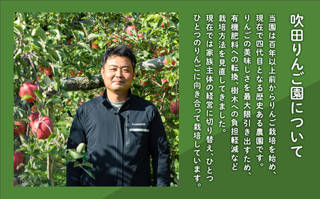 年明け  吹田りんご園 山の完熟サンふじ・シナノゴールド約5kg【吹田りんご園・青森りんご・平川市広船産・1月・2月・3月】
