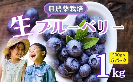 【先行予約】無農薬 完熟ブルーベリー姫[生]１kg(2025年7月より発送） (7-A15)