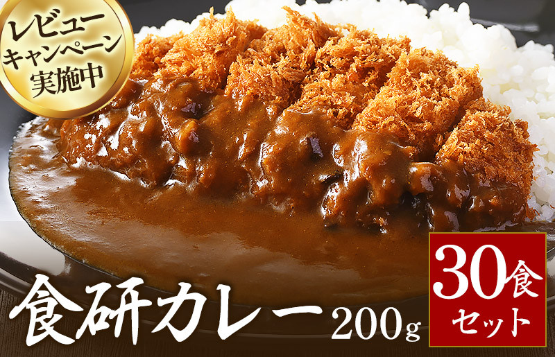 
            食研カレー２００ｇ×30袋 【VB02360SET30】
          