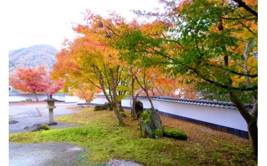 新緑や紅葉を楽しめる庭園もあります。