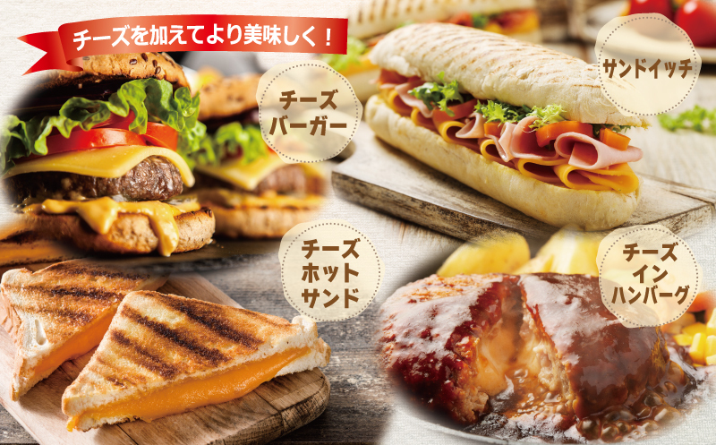 【ムラカワチーズ】JUCOVIA 業務用チェダースライスチーズ 100枚（15g×20枚×5パック） 099H2983_イメージ3