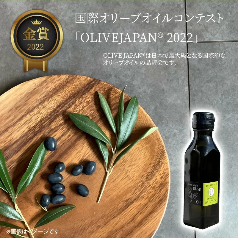 河野農園のエキストラバージンオリーブオイル 105g×2本 _1922R