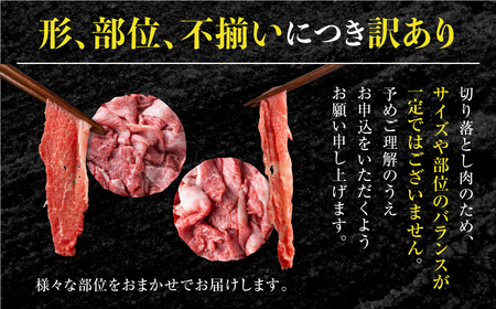 《定期便》》飛騨牛 切り落とし肉800g×3回定期便 [S527]