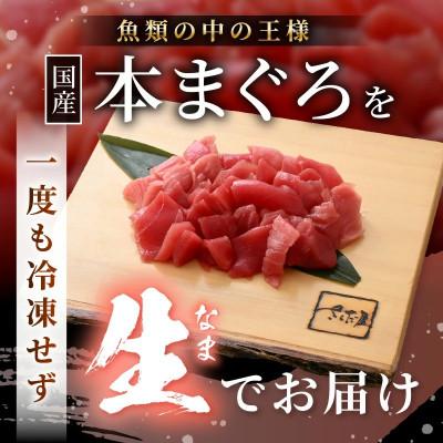 ふるさと納税 越前町 【訳あり】国産 生本まぐろ 切落し 200g |  | 02