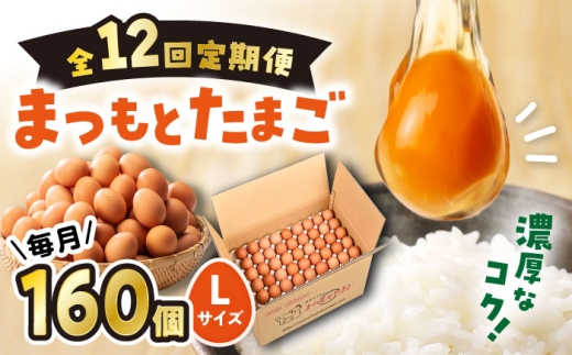 【卵 12回定期便】 まつもとたまご Lサイズ 赤玉 卵 たまご 160個 ＜松本養鶏場＞[CCD016] 長崎 西海 たまご 卵 卵かけご飯 卵焼き 赤玉 贈答 ギフト