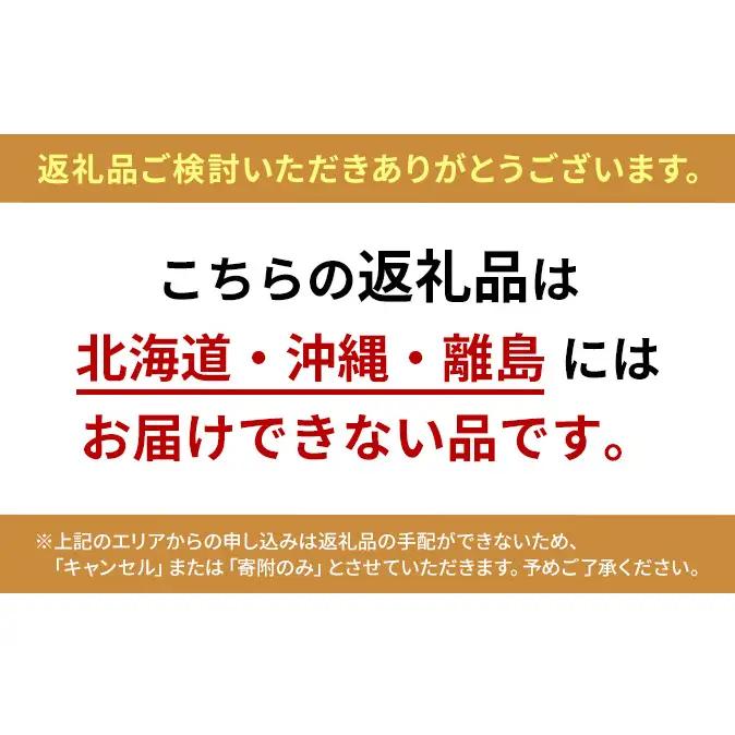ぶどう 2026年 先行予約 シャイン マスカット 1房 約600g 岡山県産 シャインマスカット