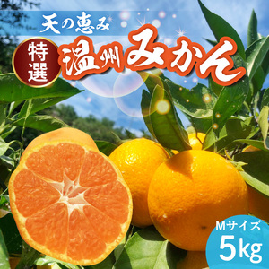 【2026年先行予約】天の恵み 温州みかん Mサイズ 特選 5kg【ミカン 蜜柑 柑橘 温州みかん 和歌山】_H6005