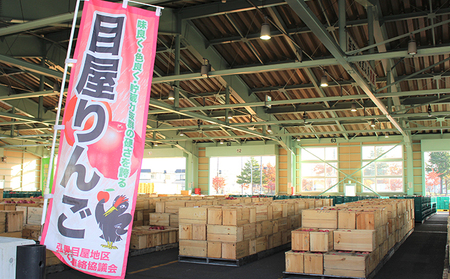 りんご 【1月発送】糖度13度～ 贈答用 サンふじ 王林 約5kg ＋ 文字絵入りりんご1個　リンゴ 林檎 青森りんご 糖度 13度 甘い 酸味 デザート フルーツ 果物 産地直送 旬 季節限定 弘果