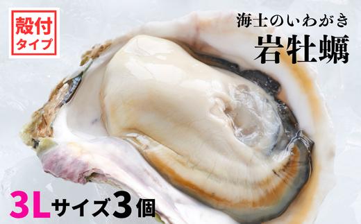 【いわがき殻付き 3Lサイズ 3個】岩牡蠣 生食可 冷凍 牡蛎 牡蠣 かき カキ 岩牡蠣 いわがき 冷凍 父の日 母の日 バーベキュー ギフト