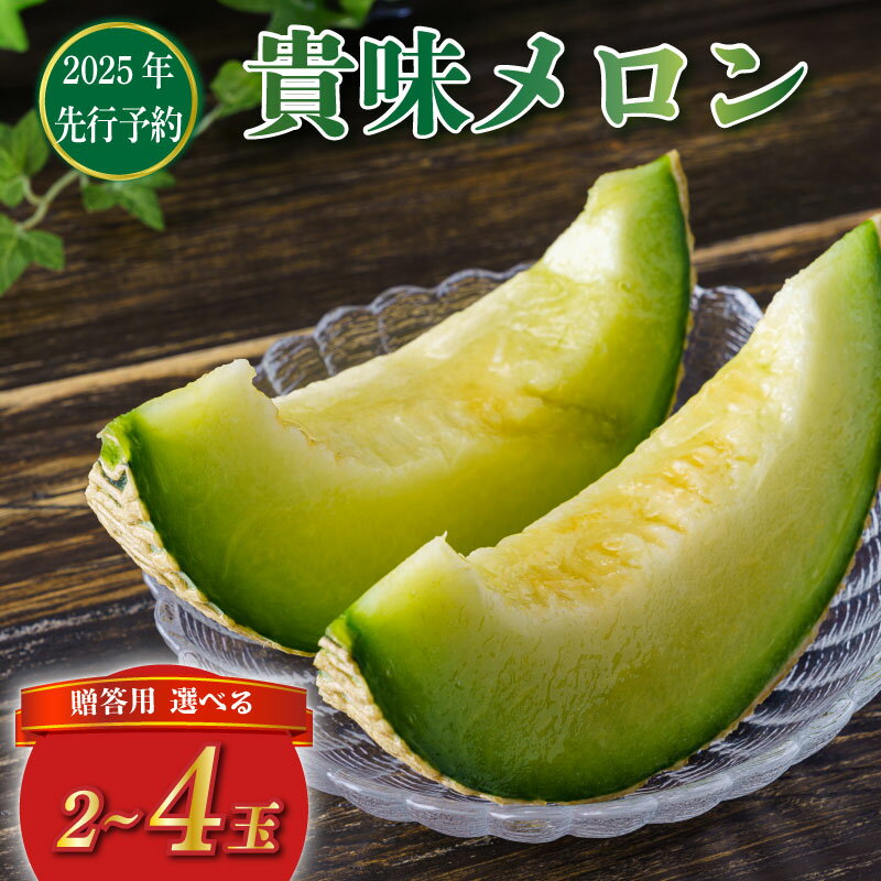 【ふるさと納税】 《2025年 先行予約 》 貴味メロン 青肉 2玉 / 4玉 選べる 内容量 贈答用 めろん 貴味 メロン 甘いメロン デザート ジューシ 美味しい おいしい 糖度 あまい おすすめ 高級 人気 旬 くだもの フルーツ 贈り物 ギフト プレゼント 千葉県 旭市 たかの果樹園