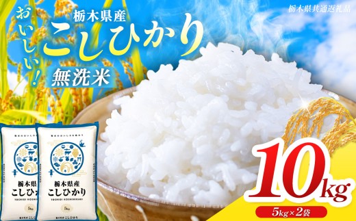 【栃木県共通返礼品】【令和8年度産】 訳あり 栃木県産コシヒカリ  無洗米 5kg×2 10kg | 定期便 選べる ふるさと 納税 コシヒカリ とちぎの星 お米 精米 無洗米 ごはん ご飯 主食 日本米 kome 栃木県 共通返礼品 那珂川町 送料無料