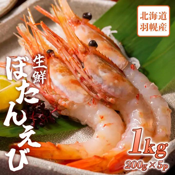 超速リキッド凍結でドリップゼロ！北海道羽幌産生鮮ぼたんえび 1kg（200g×5パック）【38003DA0101】