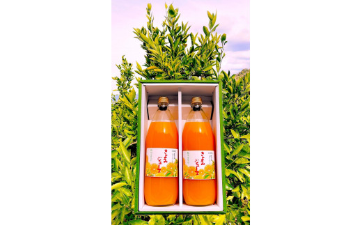 
            清見オレンジ ジュース 100％ 1000ml 2本セット
          
