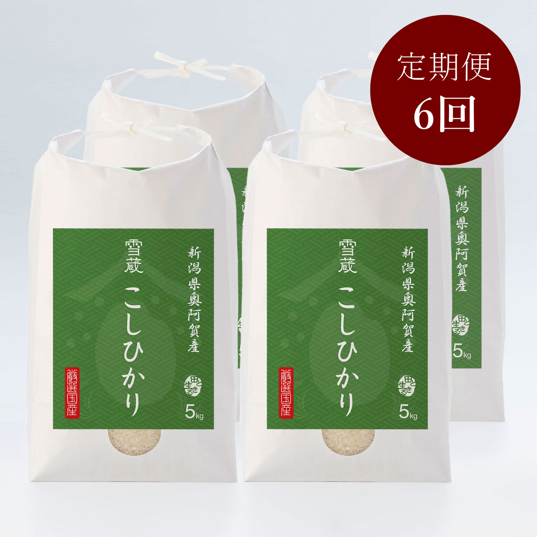 新潟県奥阿賀産こしひかり20kg 定期便6回