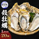 【ふるさと納税】厚岸産 殻牡蠣 Lサイズ 20個 セットカキ 牡蠣　魚介類 牡蠣 カキ 送料無料 新鮮 濃厚 大粒 メルマガ掲載商品2