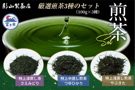 特上煎茶 さえみどり つゆひかり やぶきた 3袋セット (3種×各100g袋) お茶 影山製茶店 特上 煎茶 緑茶 甘み濃いめ 渋み少なめ 水出し ティータイム おもてなし リラックス 手土産 富士市 [sf001-278]