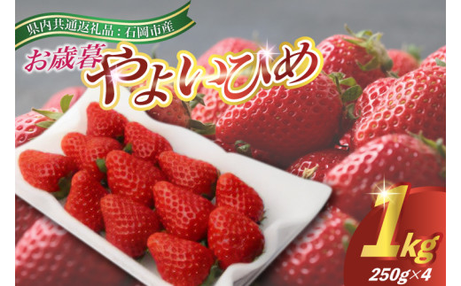 2025年12月より順次発送お歳暮やよいひめ250g(8～12粒)×4pc(県内共通返礼品:石岡市産 (BR032)