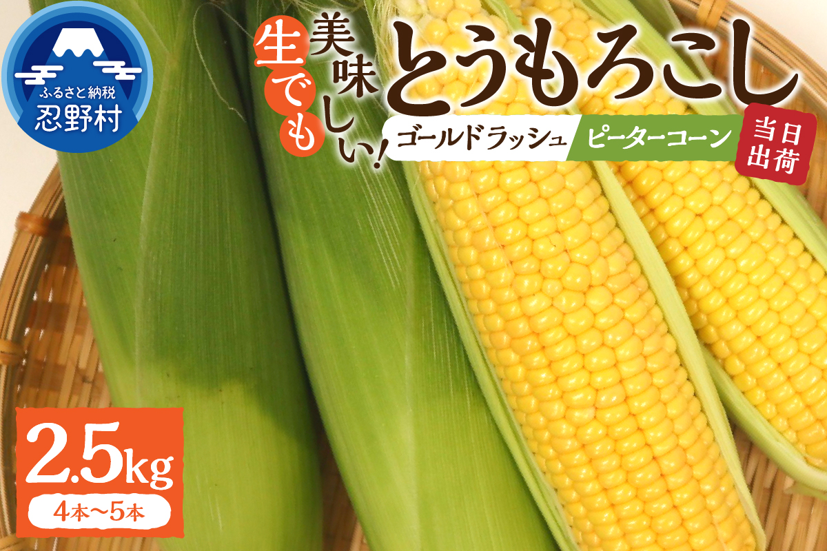 ≪2024年 先行予約≫富士北麓忍野村の気候、水、自然で作られた朝採りトウモロコシ【ゴールドラッシュ・ピーターコーン】詰め合わせセット 2.5kg